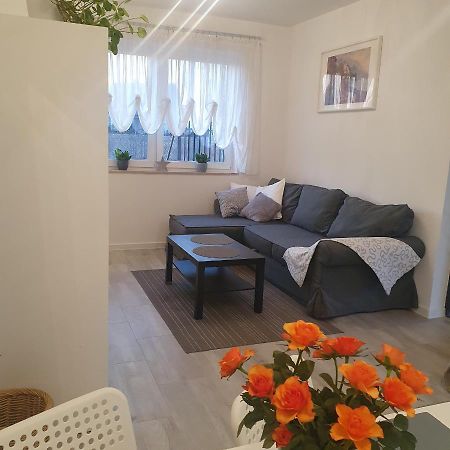 Apartament Wrzosowa كودوفا- زدروي المظهر الخارجي الصورة